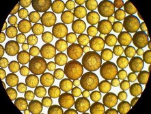 醫(yī)藥食品行業(yè)專用樹脂